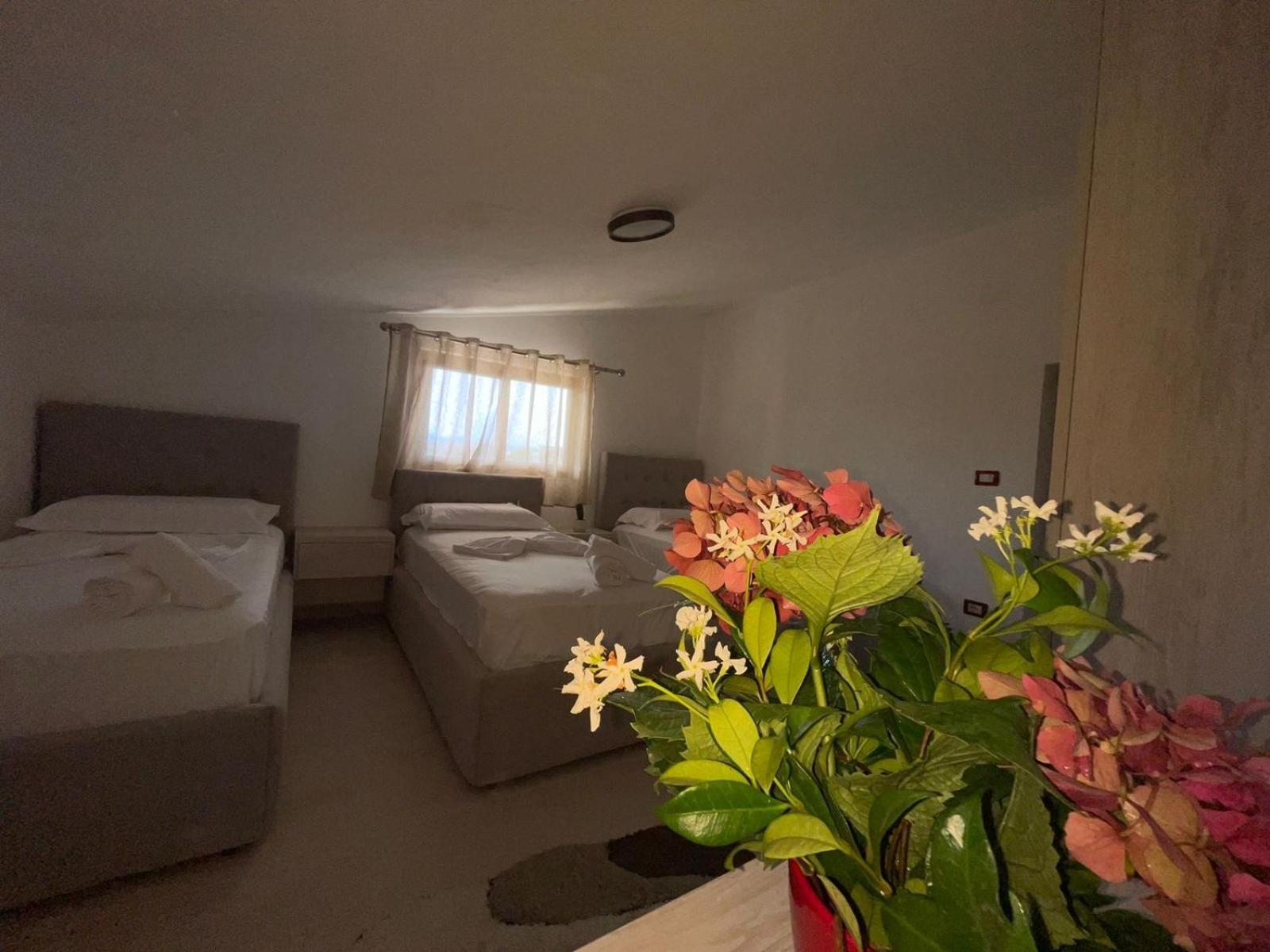 Prela'S Rooms Shkoder Exterior photo